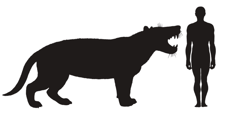 Simbakubwa kutokaafrika with human to scale.